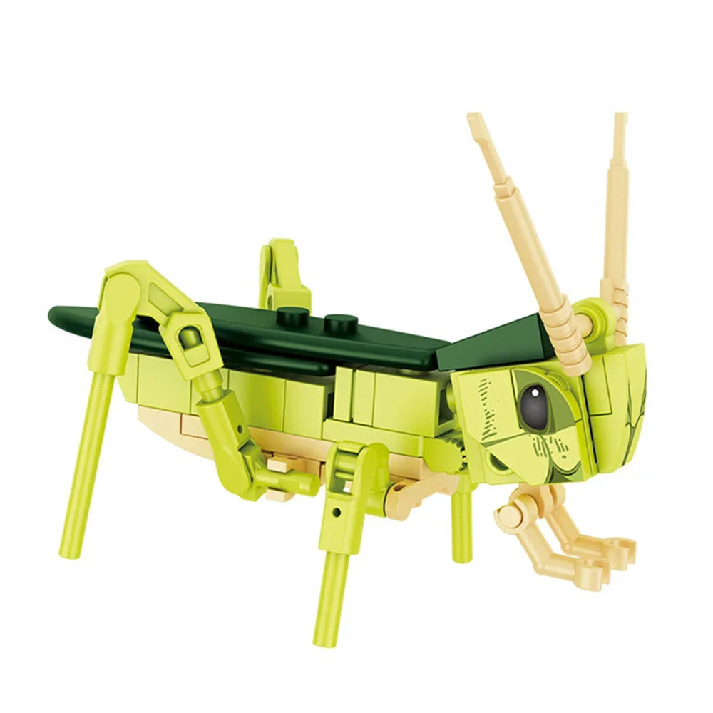 Insect Building Blocks – DIY Bee, Ant & Butterfly Model Set