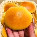 Slow Rise Squishy Toy – Cloud Bread Sensory Fidget