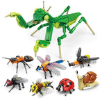 Insect Building Blocks – Creative Animal Model Assembly Set