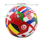 Soccer Ball Size 5 PVC Outdoor Match & Training Football
