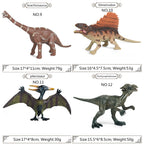 Dinosaur Action Figure – PVC Dinosaur Model Toy for Display