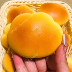 Slow Rise Squishy Toy – Cloud Bread Sensory Fidget