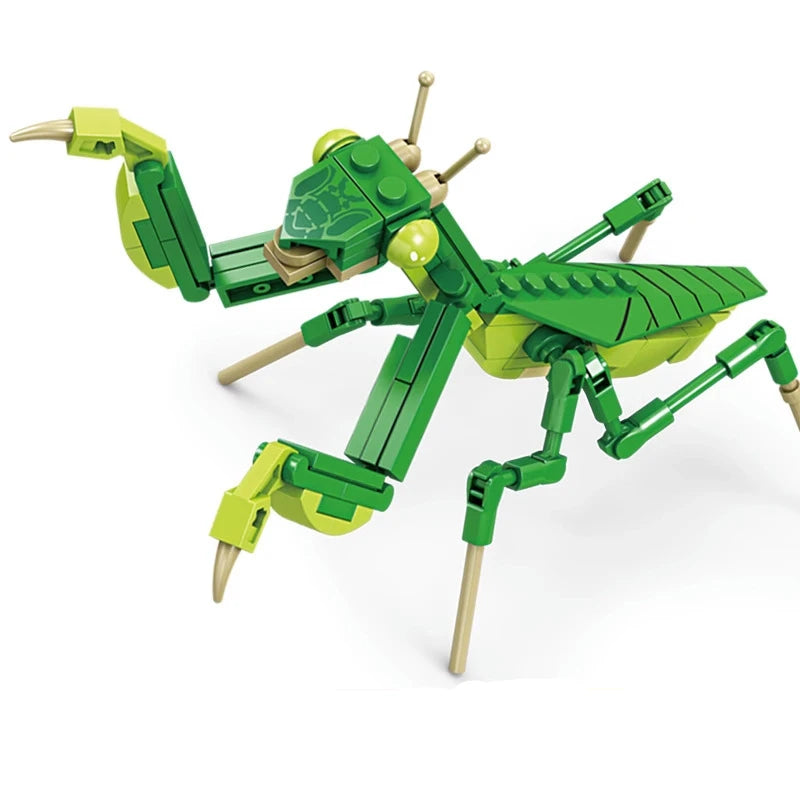 Insect Building Blocks – Creative Animal Model Assembly Set