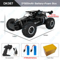 Remote Control Car 1:16 2WD Off-Road Climbing Vehicle with LED Lights