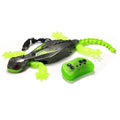 Wall Climbing RC Gecko Toy Rechargeable Remote Control Lizard with LED Eyes Dual Mode for Floor  Wall Gift for Kids Boys 3+